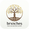 brxnches